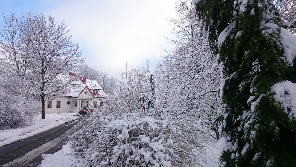 Dwor Osmolice * Bialki Dolne